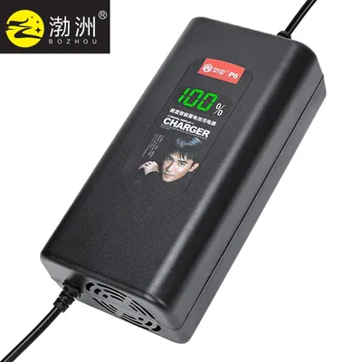60V9a 54.6V Certificated Golf Cart Marine Battery Charger