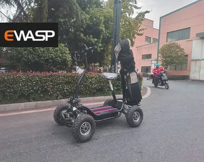 4WD off-Road Scooter Lectric 4X4 UTV with Lithium Battery