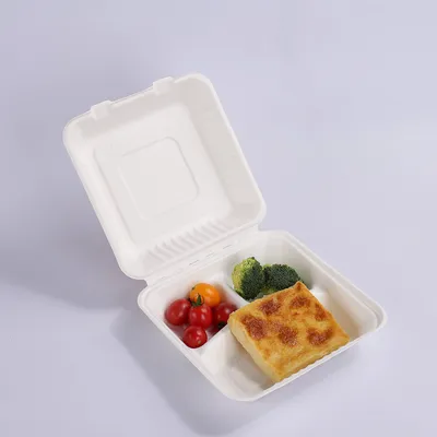 Eco-Friendly Disposable Biodegradable Take Away Food Container Sugarcane 10 Inches 3 Compartments Bagasse Lunch Box