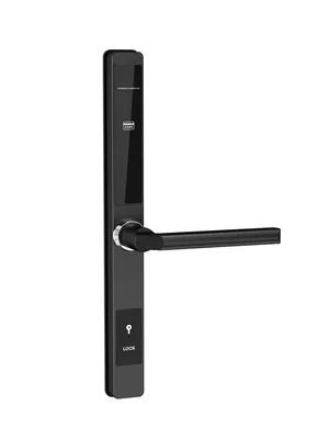 Premium Keyless Aluminum Anti-Theft Mortise Door Locks for Wholesale