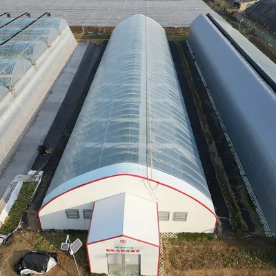 Light Deprivation Tunnel Greenhouse with Screen for Mushroom
