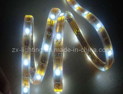 Waterproof Flexible LED Strip 60PCS LED/M (ZX-SFL60)