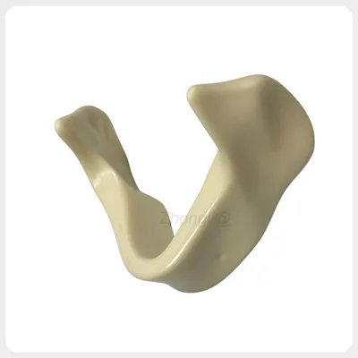 Dental Implant Practice Model for Training with Cortical Bone
