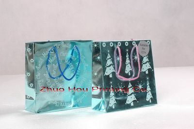 Foil Bag 6
