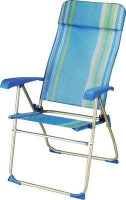 Leisure Chair (CJ8021)
