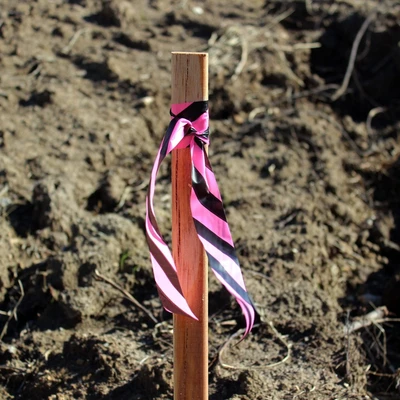 PVC Surveyor Flagging Tape for Effective Surveying and Marking