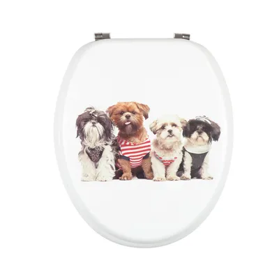 High Stability Nice Gloss MDF Printing Fixings Included Toilet Seats for Guesthouse Room