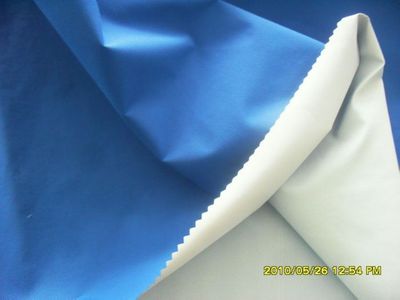 Taslan Fabric
