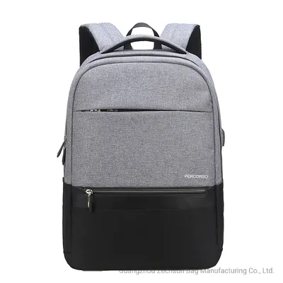 Export Brand Newest Design Travel Bag Waterproof Nylon Laptop Backpack for Men (BC1427-11)