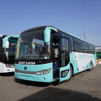Hot Selling Zk6115 School Bus 60-Seater Coach City Bus with LHD Steering