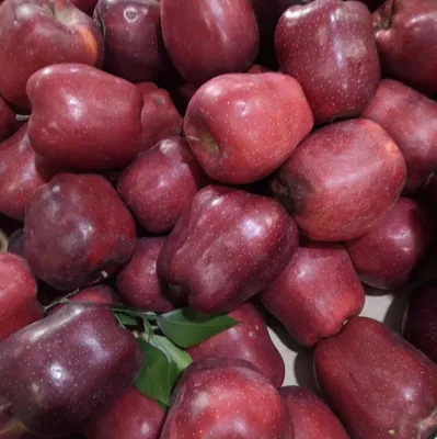 Fresh Red Apple with Nice Quality