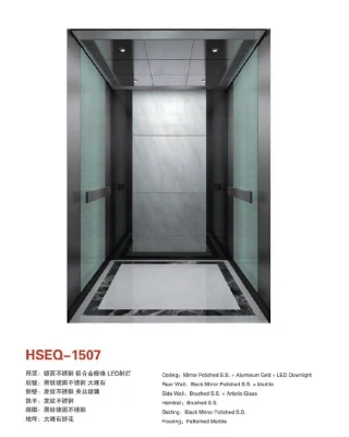 Hot Sale Vvvf Passenger Lift for China Supplier