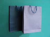 Paper Bag (S-8)