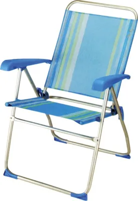 Leisure Chair (CJ8020)