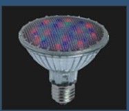 LED PAR30 Prefocus Lamp