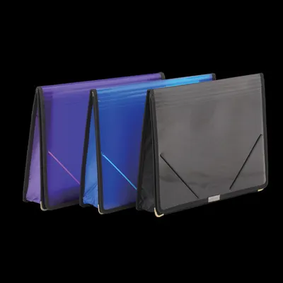 File Bag / Office Bag / File Holder (W4308)