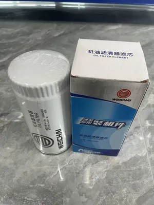 High Quality Engine Parts 1000424655 Oil Filter with Best Price