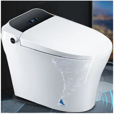 Smart Toilet with Bidet Wash Function and Heated Seat