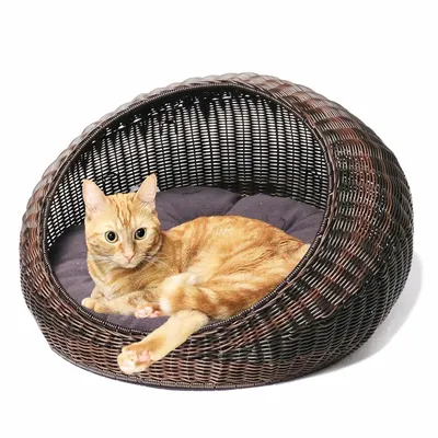 Round Pet Bed Pet Friendly House Plants