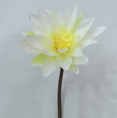 Artificial Silk Water Lily Flowers for Decoration Wedding