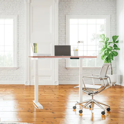 Electric Adjustable Height Desk Office Home Computer Desk Frame Single Motor Standing Desk