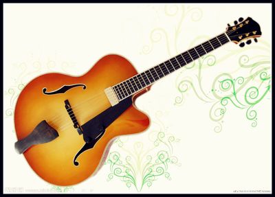 Beautiul High Jazz Guitar (YZ-15LS)