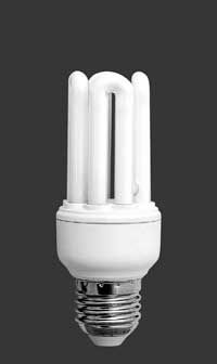 Compact Fluorescent Lamp -4