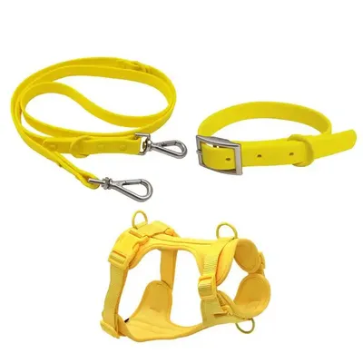 Reversible Harness Leash Set Customized Design