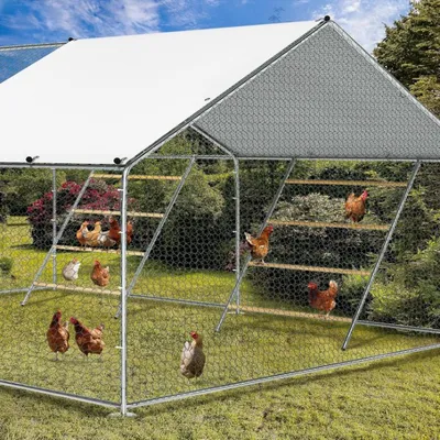 Backyard Poultry Essentials: Easy to Assemble Roosting Perch with Fun Toys
