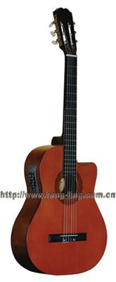 Guitar (CG209CE)