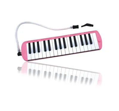 32 Key Melodica (soft bag)