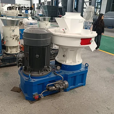 Ring Die 8-12mm 5t/H Max 250kw Wood Pelletizer Bamboo Pellet Production Line Corn Stalk Pelletizing Machine Pellet Making Machine Wood Pellet Machine