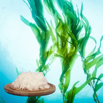 Alginate Fiber for Textile