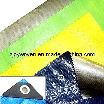 Two Sides Coated PE Tarpaulin (PY4-50)