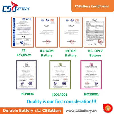 TIANCHANG ZHENGMU TECHNOLOGY CO., LTD.