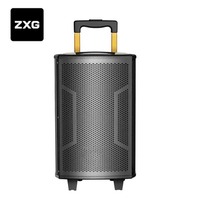 Multifunctional Active Strong Power Speaker with Mic Super Bass Made in China for The Party and Stage DJ