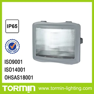 Emergency Flood Light
