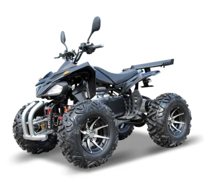 Sport Electric Atvs 4000W Electric Powerful ATV with Lithium Battery