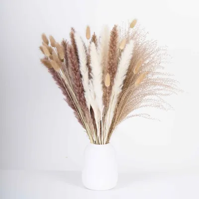 Factory Price Amazon Hot Sell Natural Dried Flowers Bouquet Pampas Grass Bunny Tails Reed Grass Flower Bouquet for Home