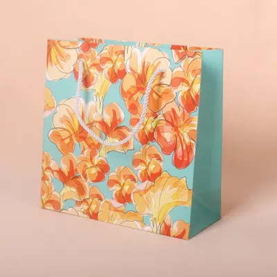 Manufacturer Customized Design Handle Gift Packaging Home Paper Bag