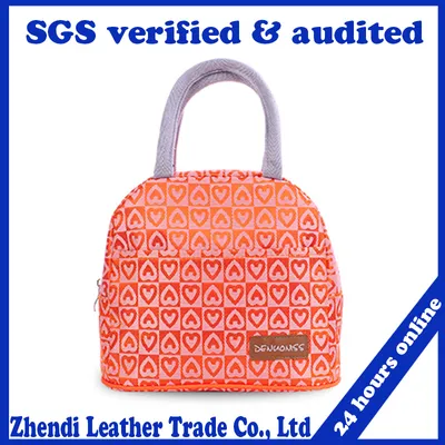 2017 Cans Ice Cooler Bag for Picnic Lunch (bd12)