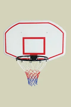 Injection Mold of Basketball Backboard 006
