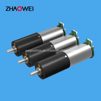20mm Low Rpm High Torque 12V DC Spur Gear Motor