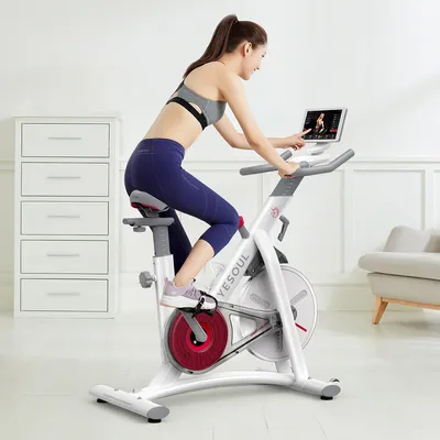 Wholesale Smart Connect Stable Adjustable Indoor Exercise Bike