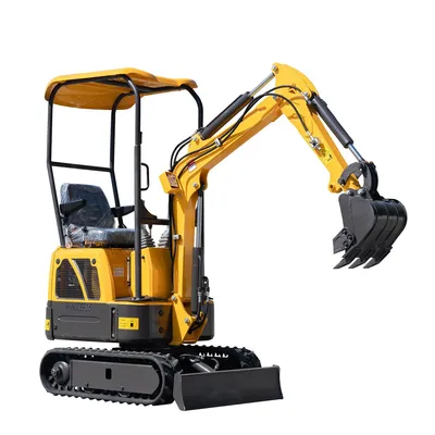 Affordable Mini Excavator with Essential Accessories for Professionals
