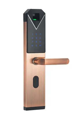 Biometric Fingerprint Door Lock with Keyless Entry System