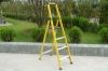 FRP Household Ladder
