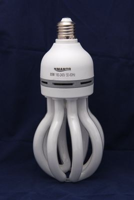 Energy-Saving Lamp