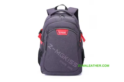 Waterproof Nylon Outdoor Backpack Bag with Laptop Compartment
