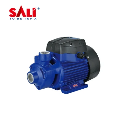 Sali Qb60 0.37kw/0.5HP 40m High Quality Peripheral Pump
